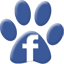 facebook-icon